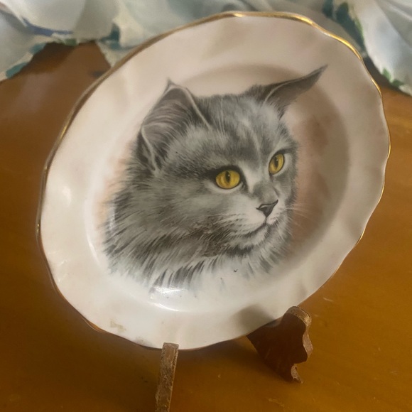 Vintage Fenton Persian Kitten Cat Plate English Bone China Trinket Gold Rim - Picture 3 of 9